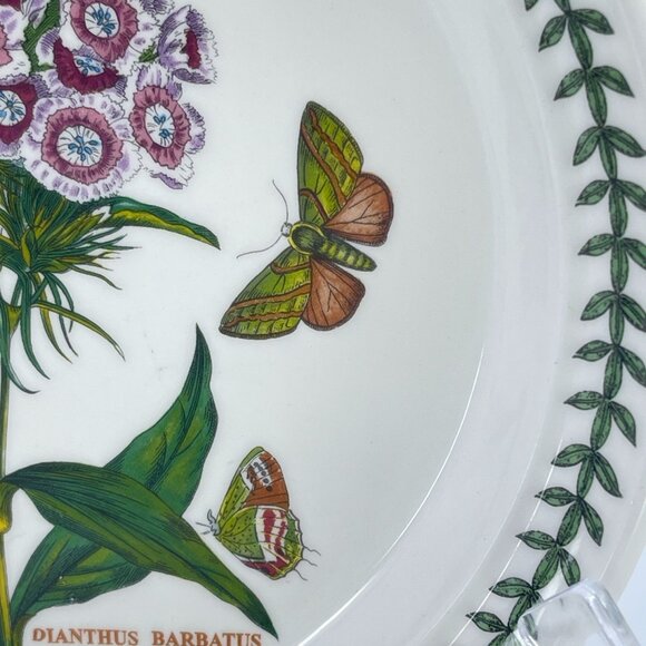 portmeirion botanic garden collection salad plate "sweet william" pattern - Picture 3 of 8